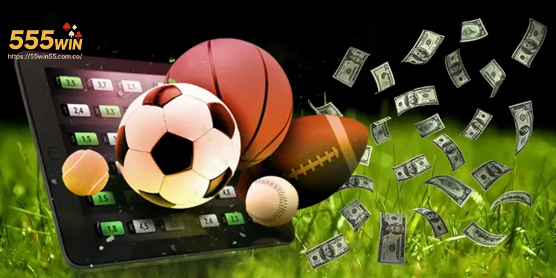 Hình ảnh các chương trình khuyến mãi hấp dẫn dành riêng cho Thể Thao 555WIN.